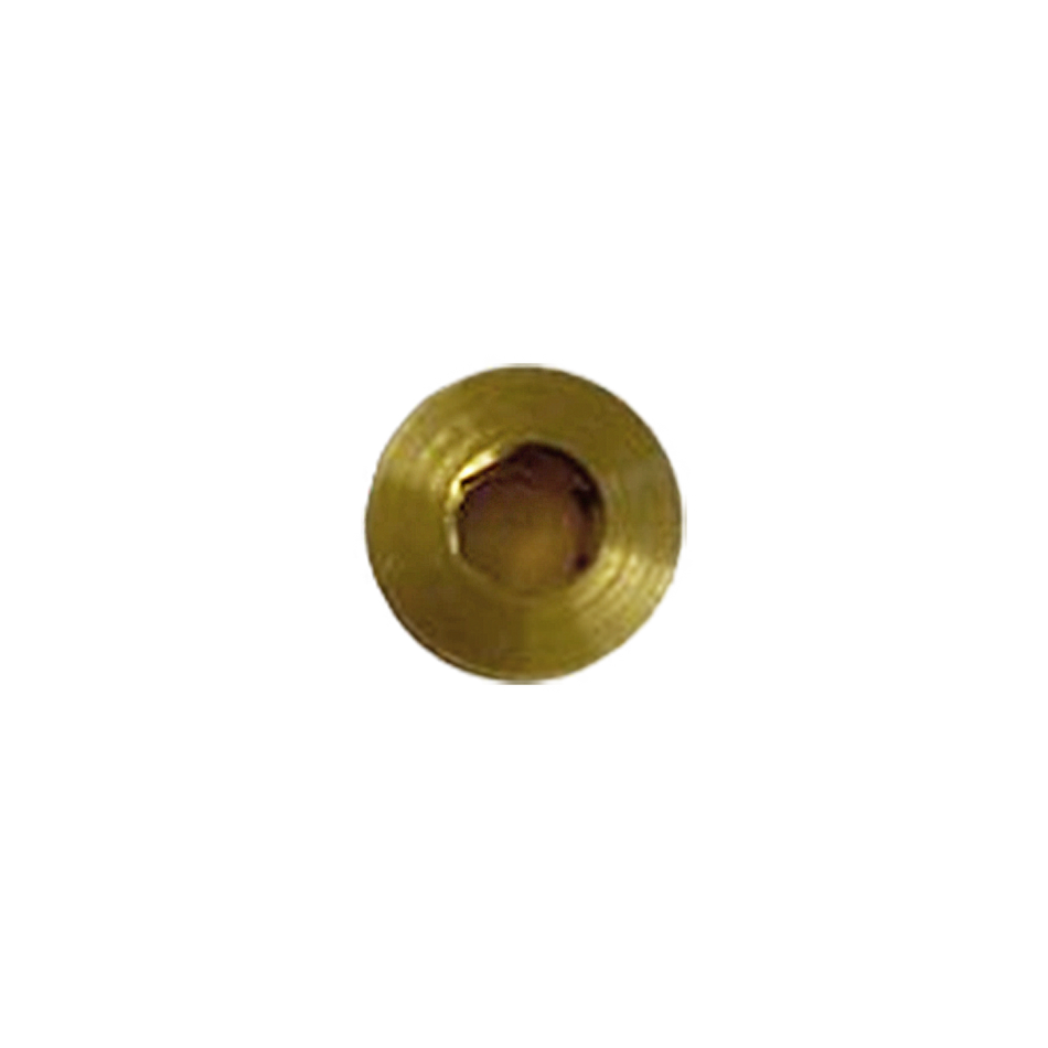 Bird/Vyaire/Amvex O2 Blender Checkball Retainer