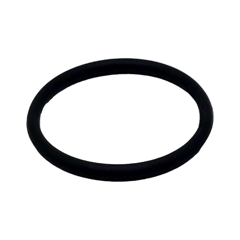 Sechrist Water Trap O-Ring