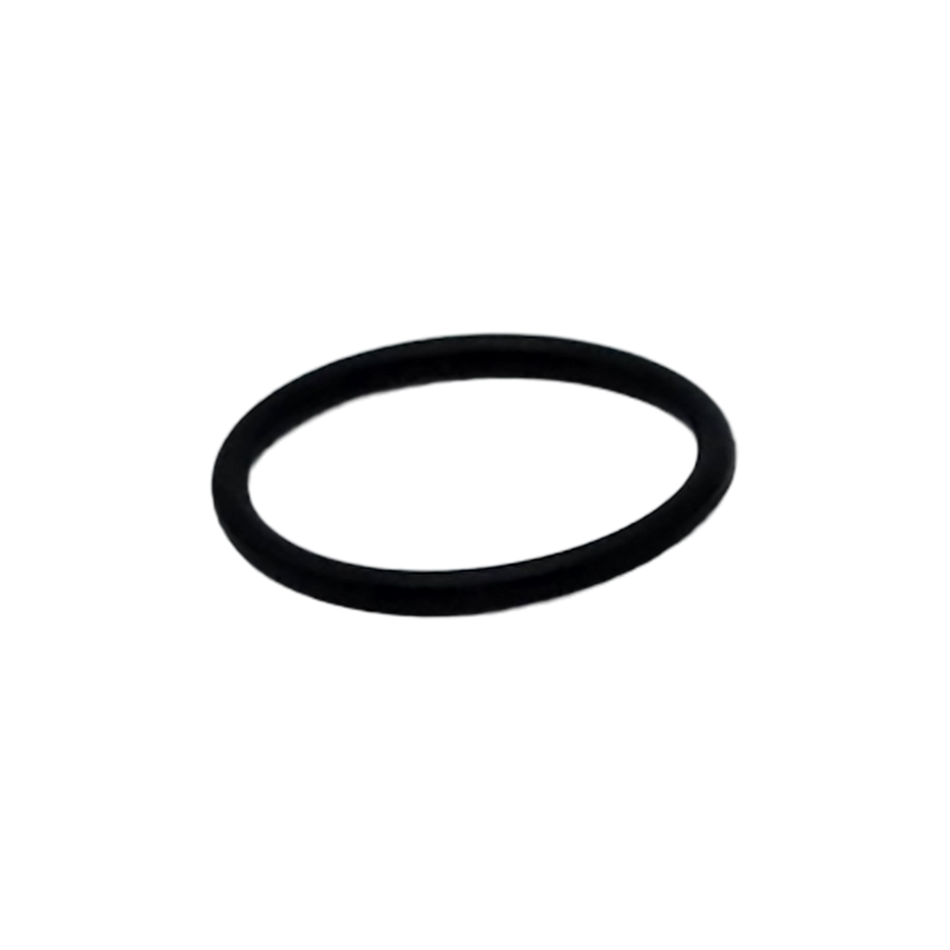 Sechrist O-Ring (was TCS116)
