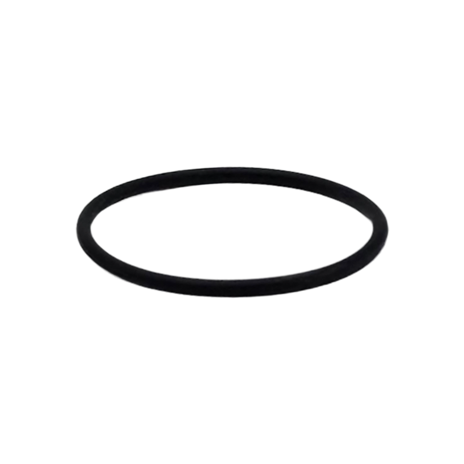 Sechrist O-Ring (was TCS110)